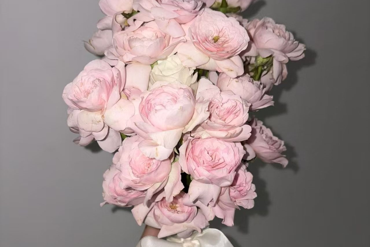 网站更新与发布流程